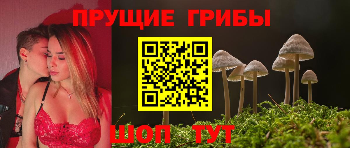 Галлюциногенные грибы Cubensis Стерлитамак